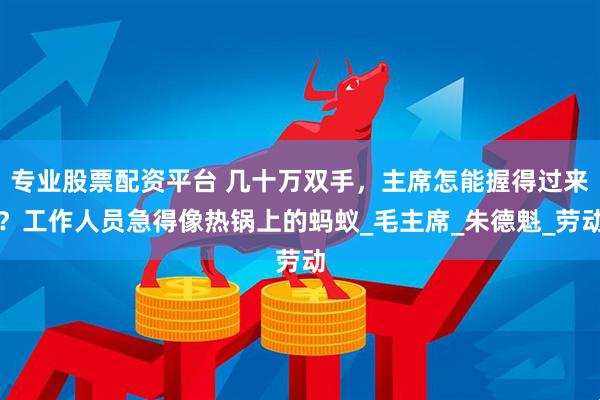 专业股票配资平台 几十万双手，主席怎能握得过来？工作人员急得像热锅上的蚂蚁_毛主席_朱德魁_劳动