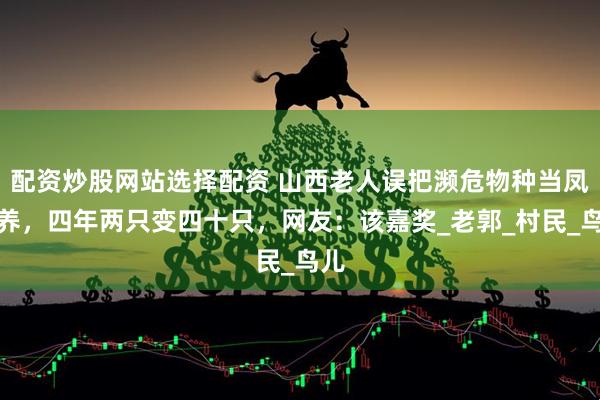 配资炒股网站选择配资 山西老人误把濒危物种当凤凰养，四年两只变四十只，网友：该嘉奖_老郭_村民_鸟儿