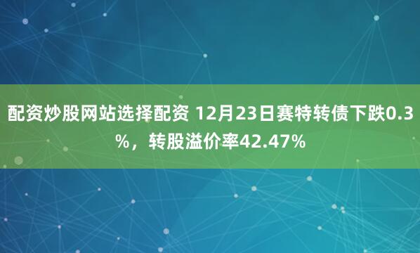 配资炒股网站选择配资 12月23日赛特转债下跌0.3%，转股溢价率42.47%